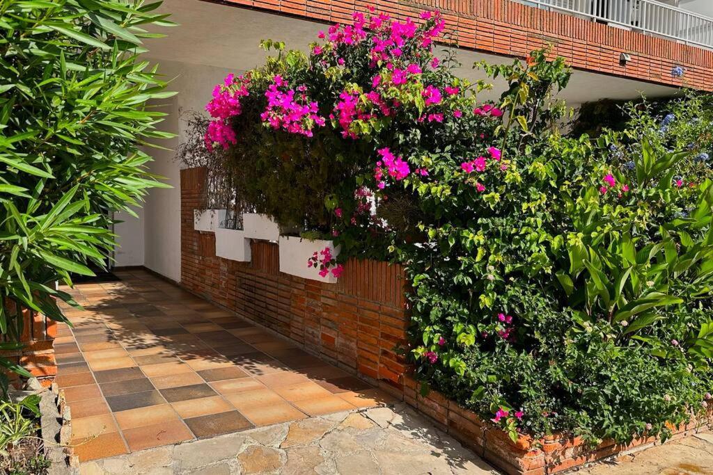 Apartamento Acogedor , Blanes Exterior photo